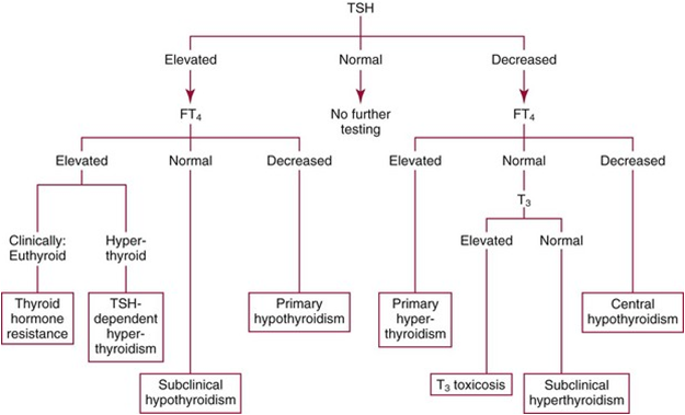 Thyroid disorders algorithm